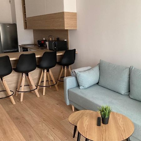 Rakowicka Modern Apartment クラクフ エクステリア 写真