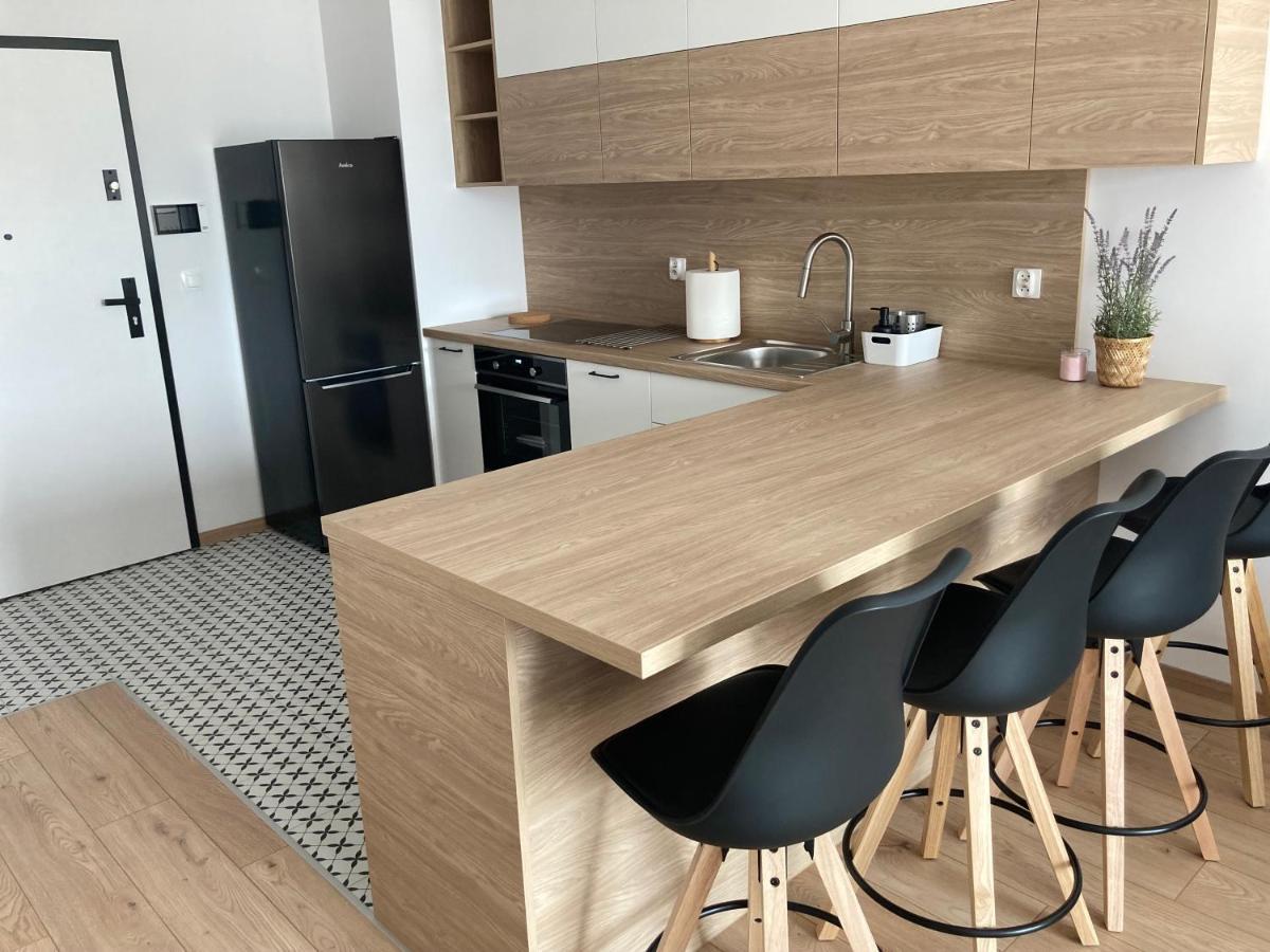 Rakowicka Modern Apartment クラクフ エクステリア 写真