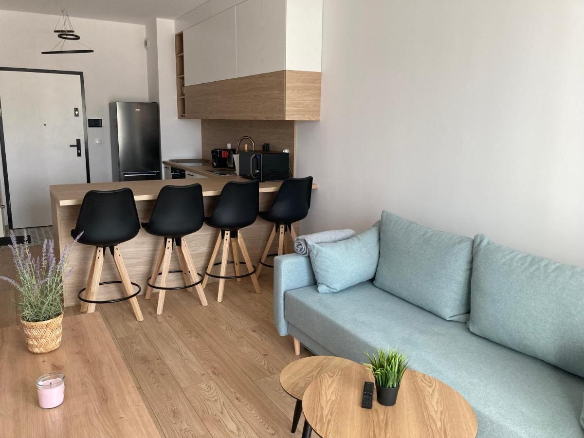 Rakowicka Modern Apartment クラクフ エクステリア 写真